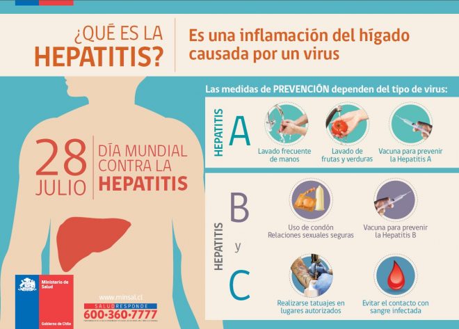 Qué es la hepatitis B y C y cómo prevenirla Hospital El Carmen Dr Luis Valentín Ferrada